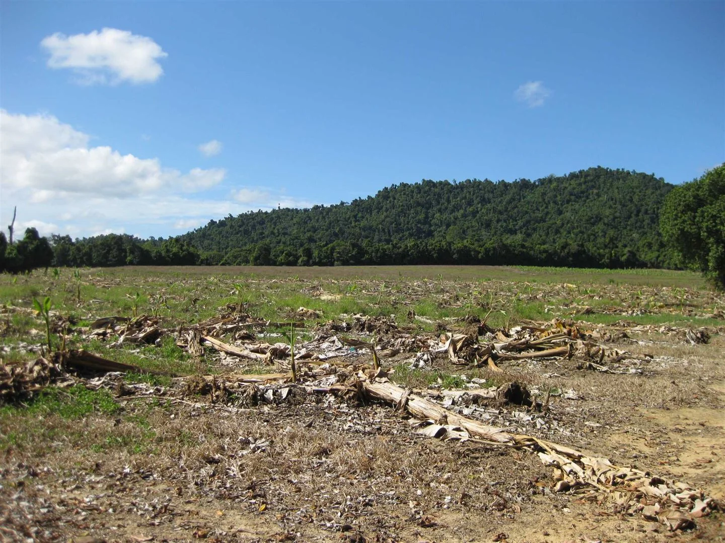 Image 18