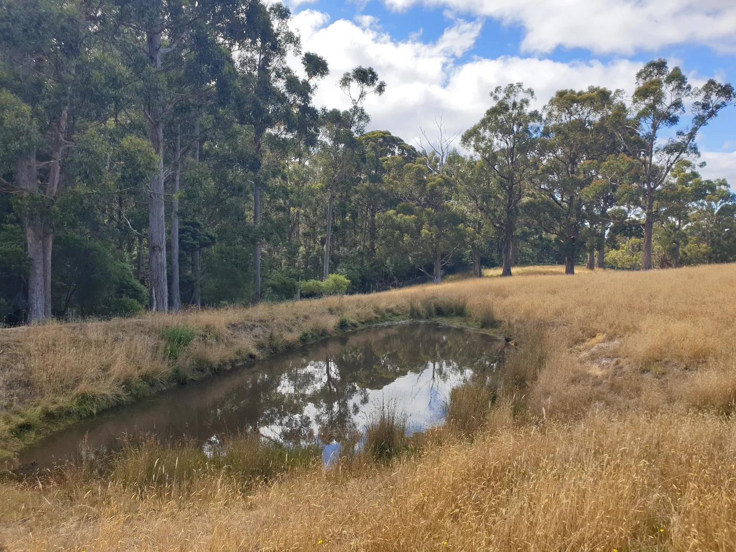 Additional image 4 of Lots 1 & 3 Plummers Road, Southport TAS 7109