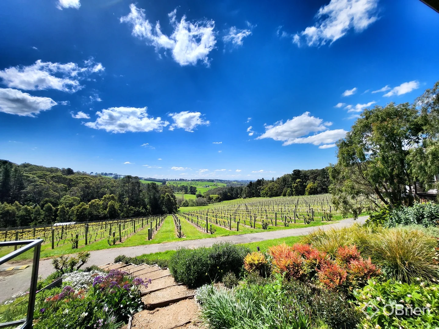 Additional image 4 of 120 Arthurs Seat Road, Red Hill VIC 3937