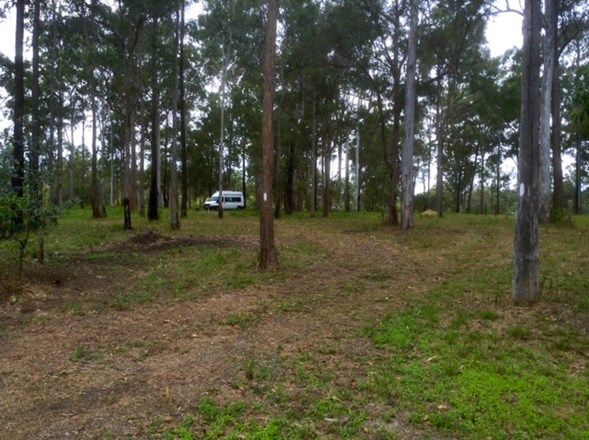 Lot 319 Faine Road, Bauple QLD 4650, Image 0