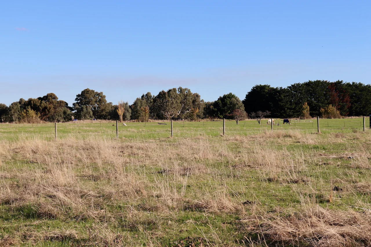 Image 8