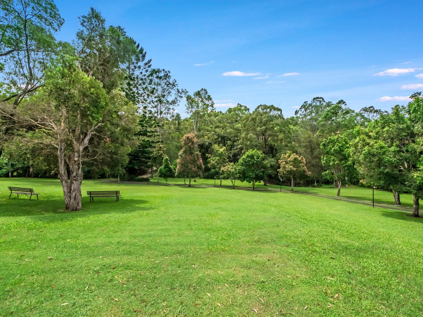 47 Elevation Drive, Wongawallan QLD 4210, Image 2