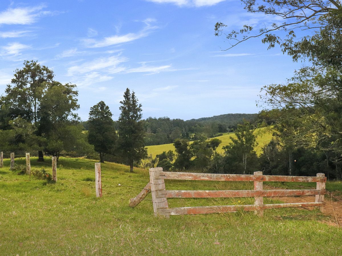 274 Schultz Road, Billy Creek, Dorrigo NSW 2453, Image 2