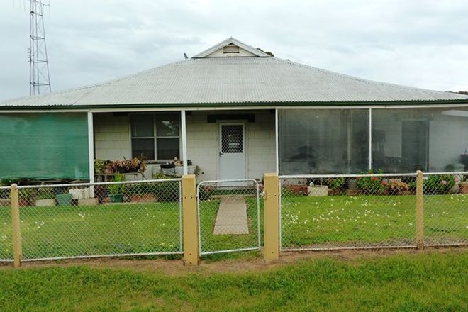 Picture of 1 Clive Street, MINNIPA SA 5654