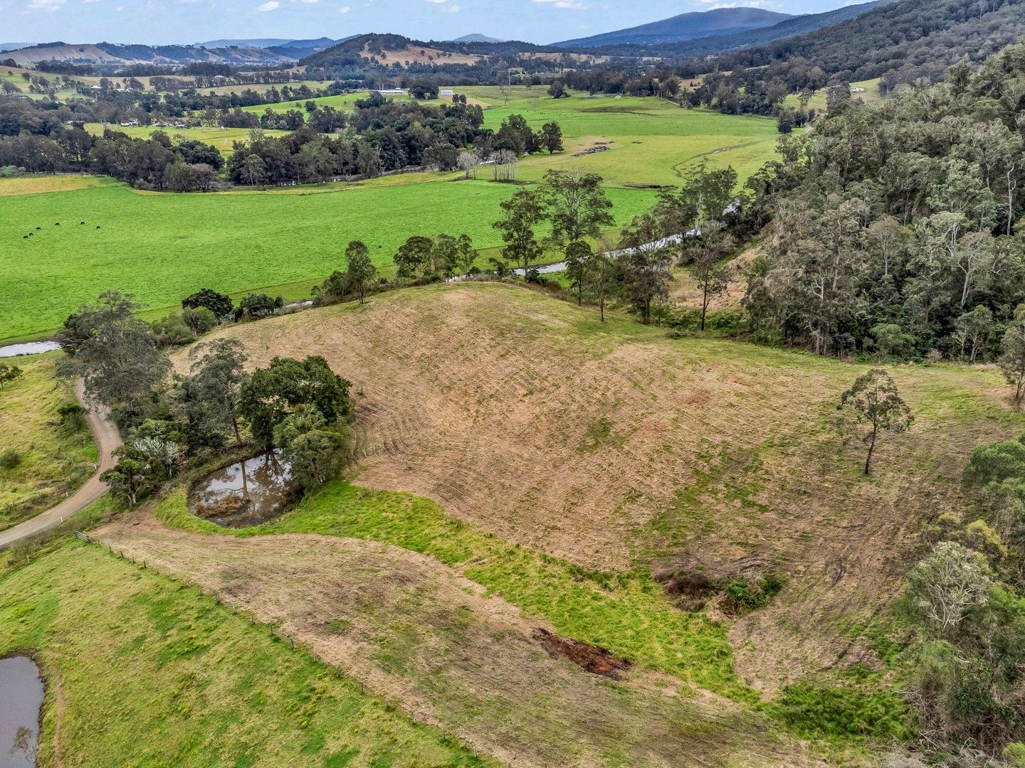 1177 (Lot 1/DP867951) Fosterton Road, Dungog NSW 2420, Image 1