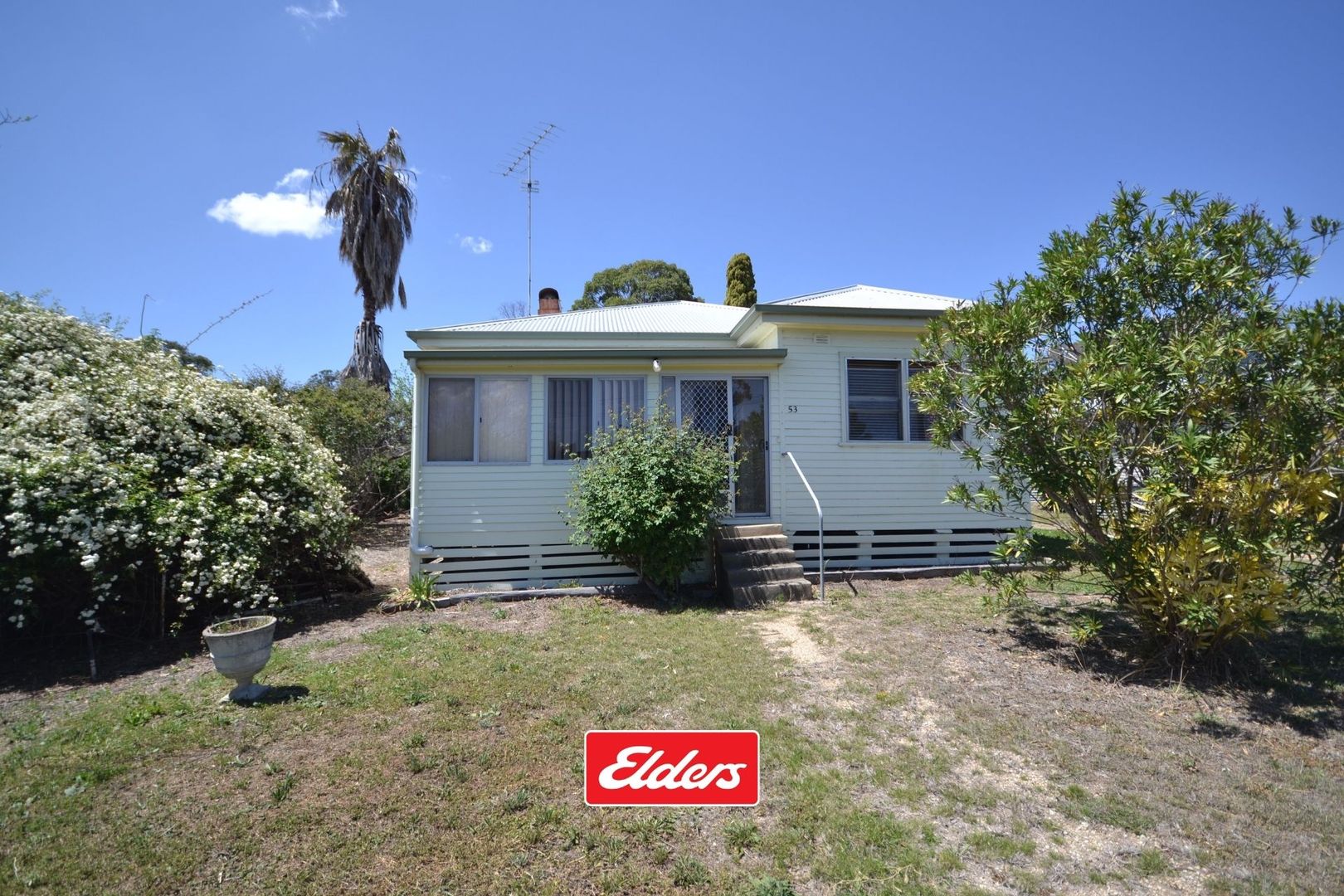 53 Clive Street Inverell Nsw 2360 Domain