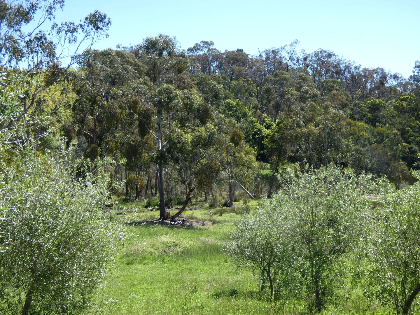 Image 27