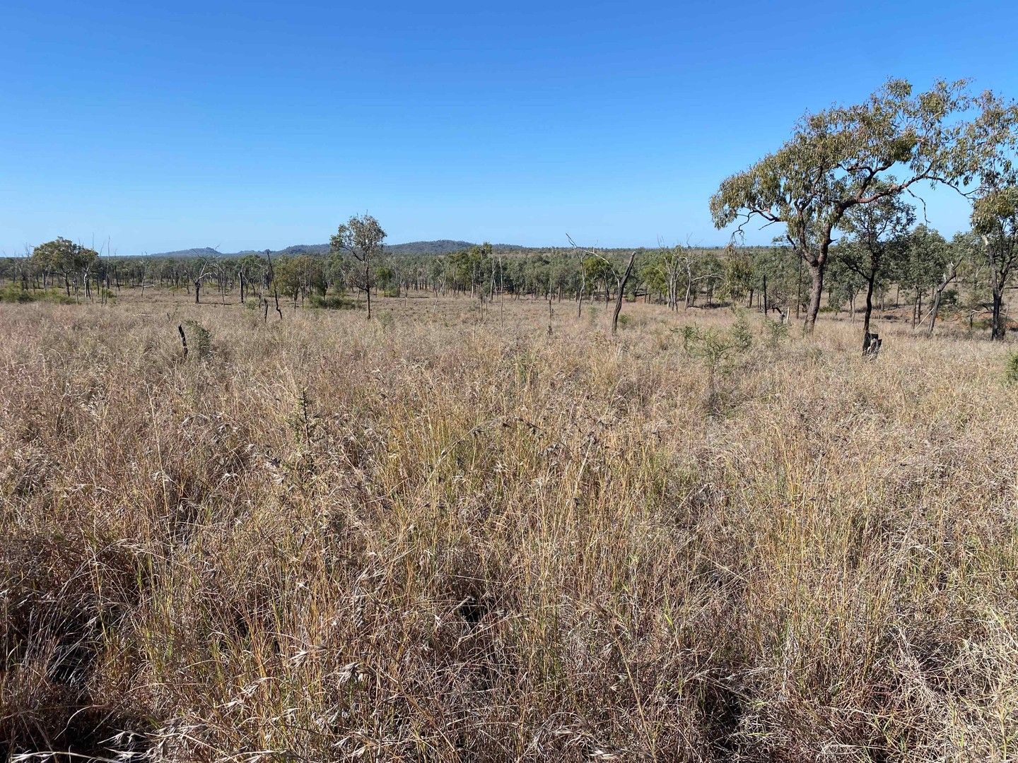 Rural in Peakvale Road, CLERMONT QLD, 4721