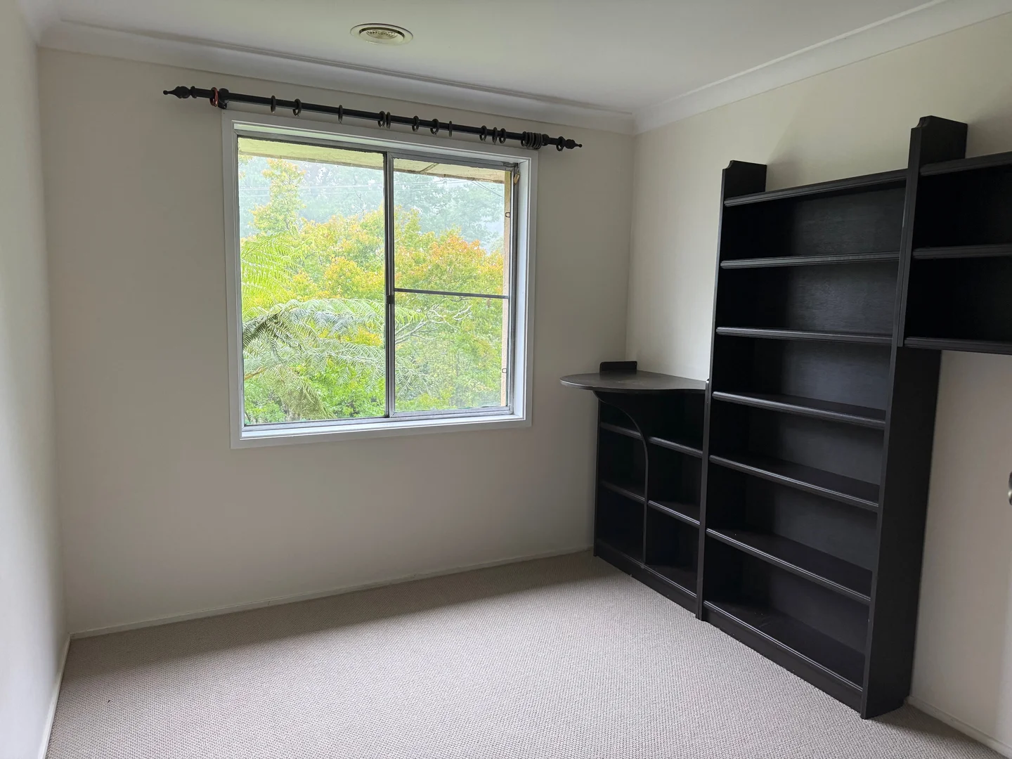 Additional image 14 of 107 Pritchard Street, Wentworth Falls NSW 2782