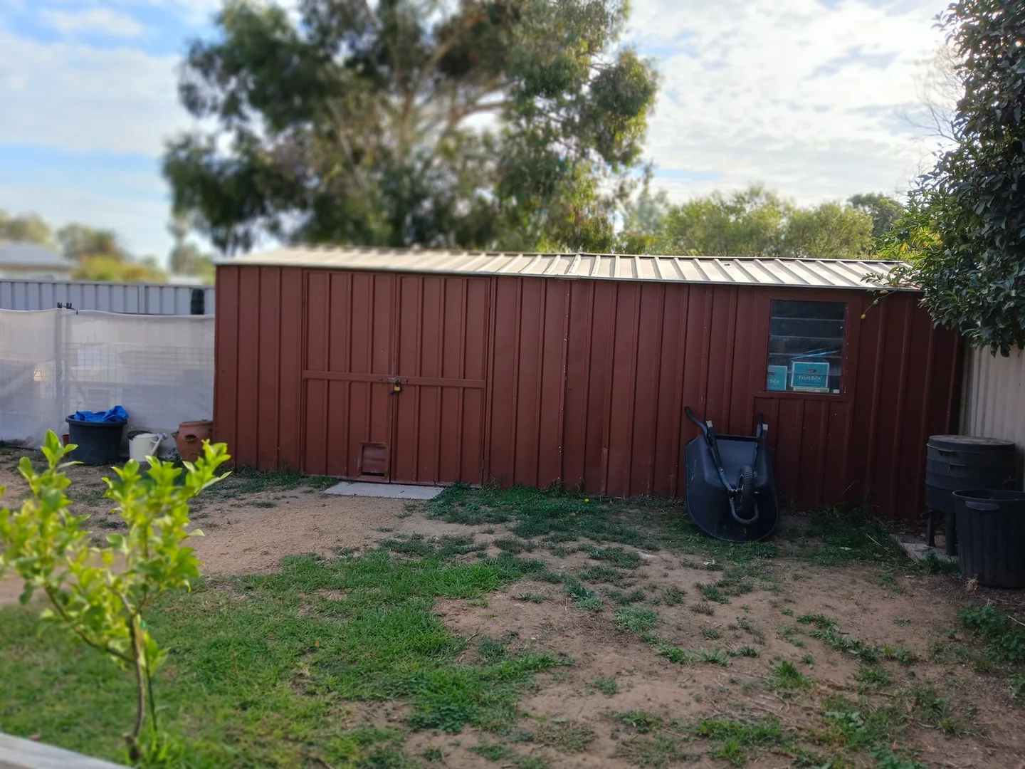 Image 21