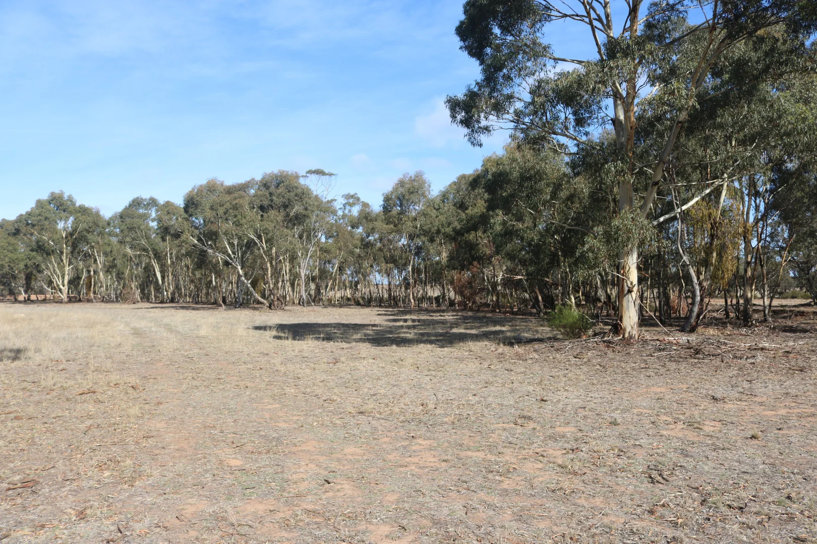 Additional image 15 of Old Boort Road, Woolshed Flat VIC 3518