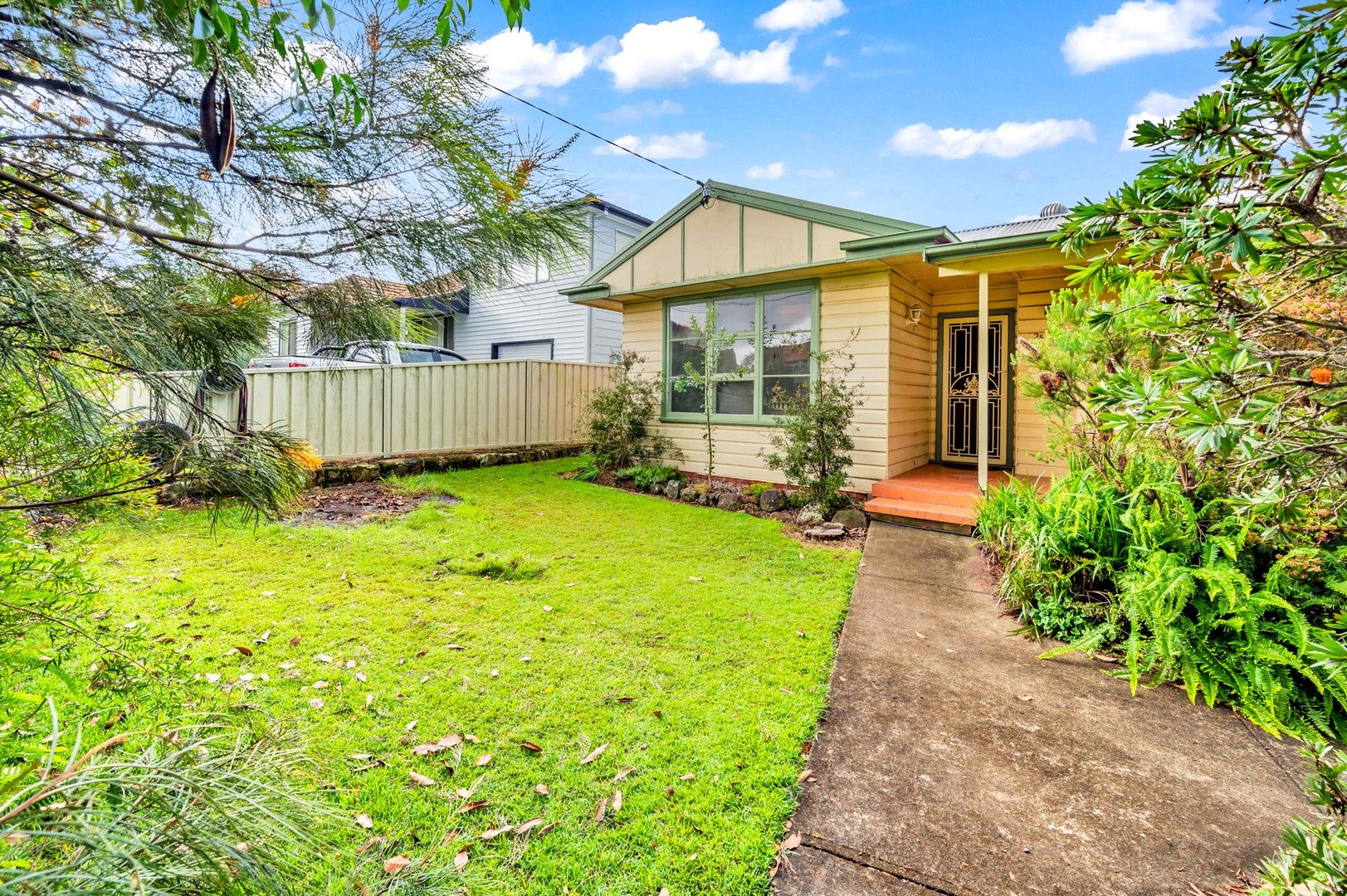 25 Thompson Street, Rutherford NSW 2320, Image 0