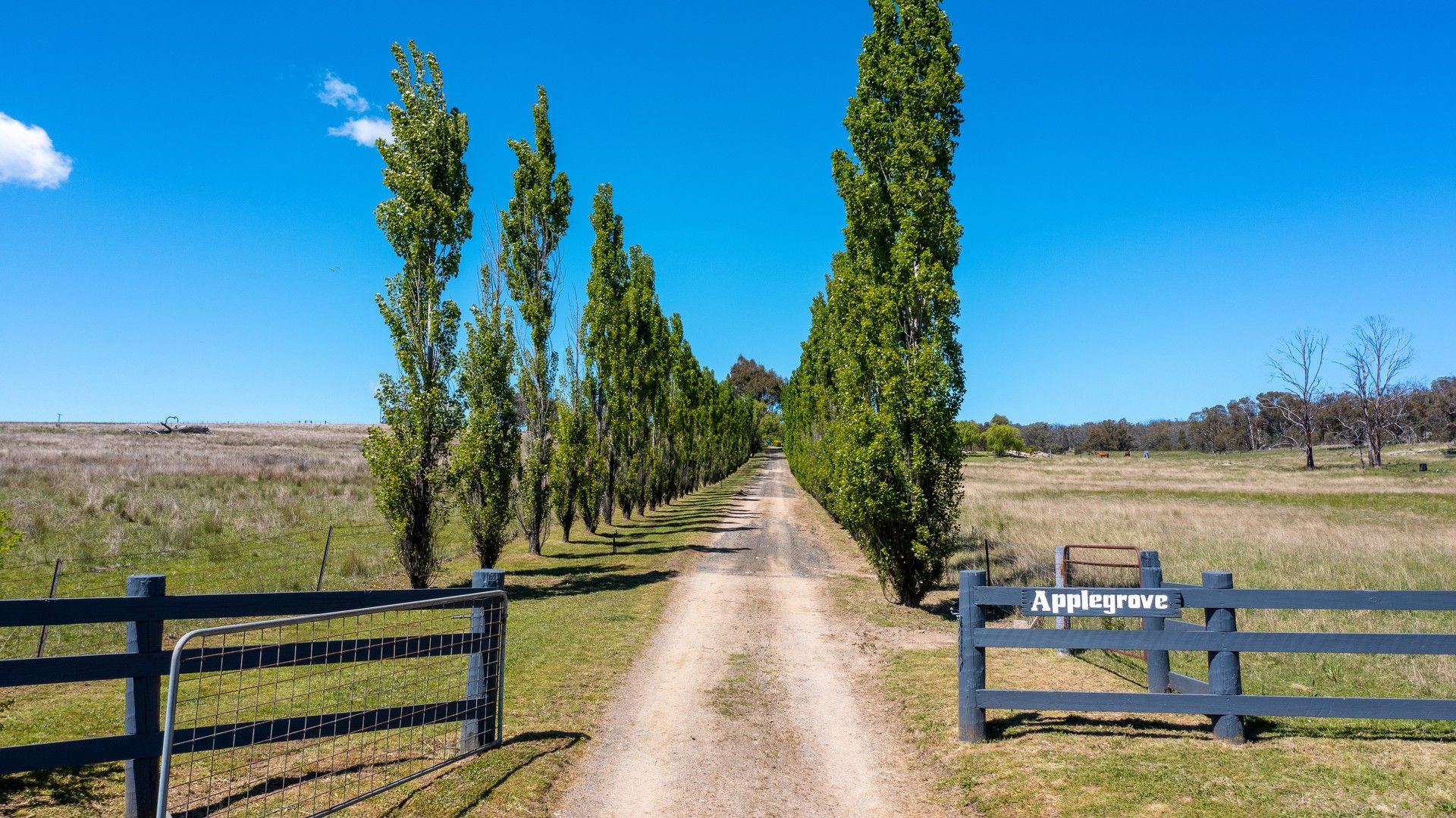 'Applegrove' 1153 New England Gully Road, Tamworth NSW 2340, Image 0