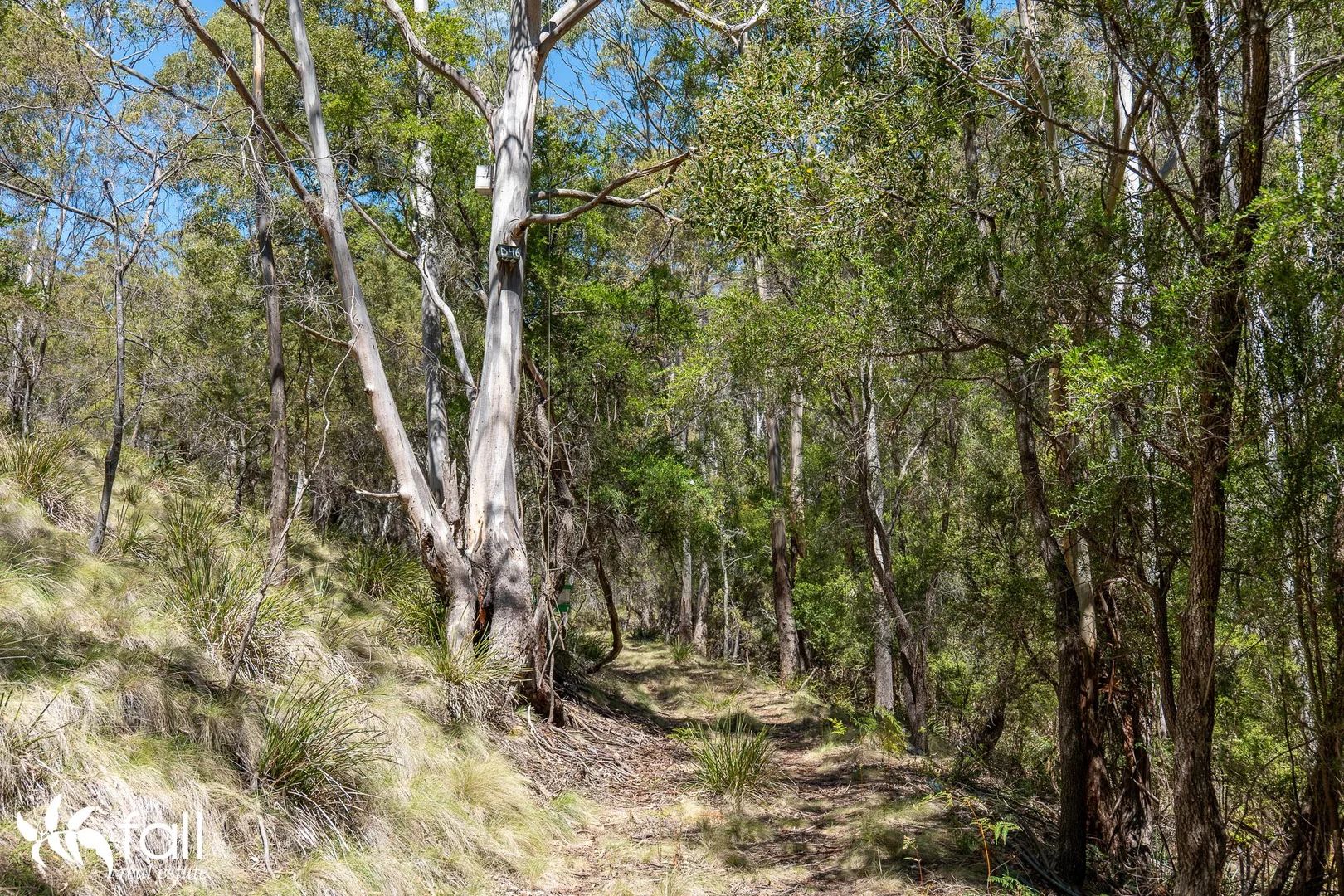 Image 19