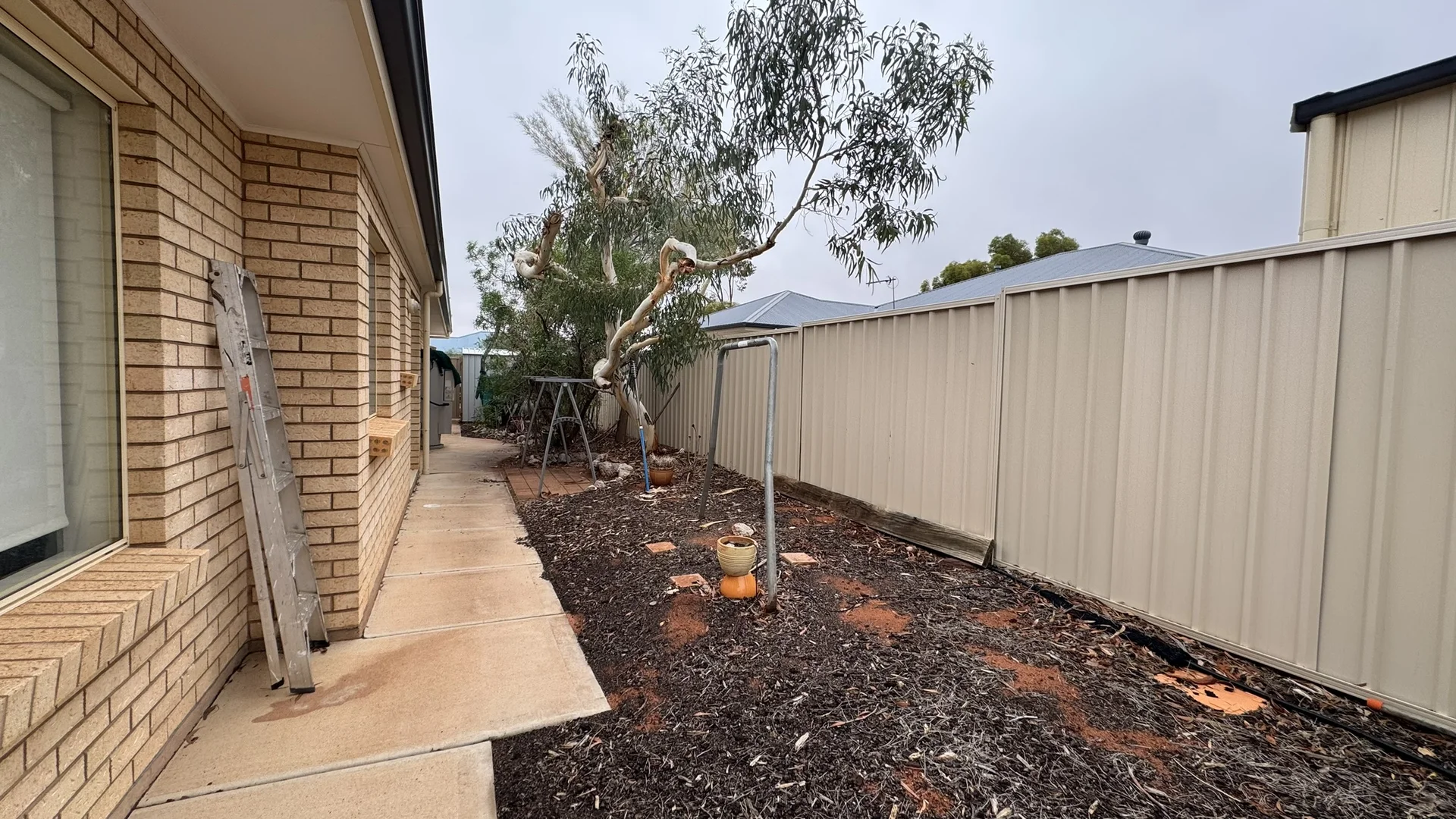 Image 30