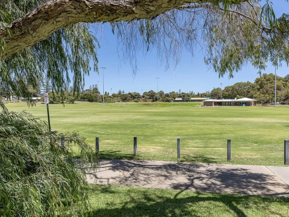 Image 13