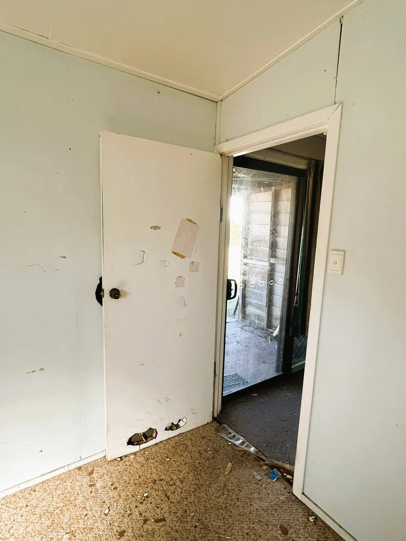 Image 15