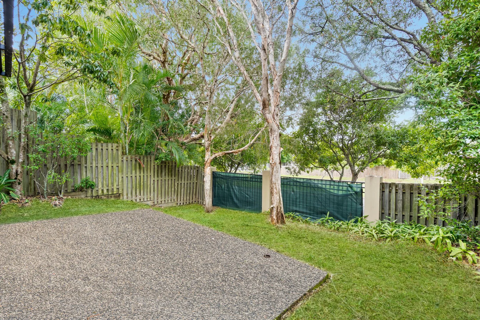Image 13