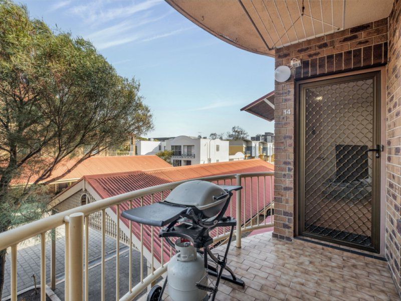 1226 Willcox Street, Adelaide SA 5000 Apartment For Rent Domain