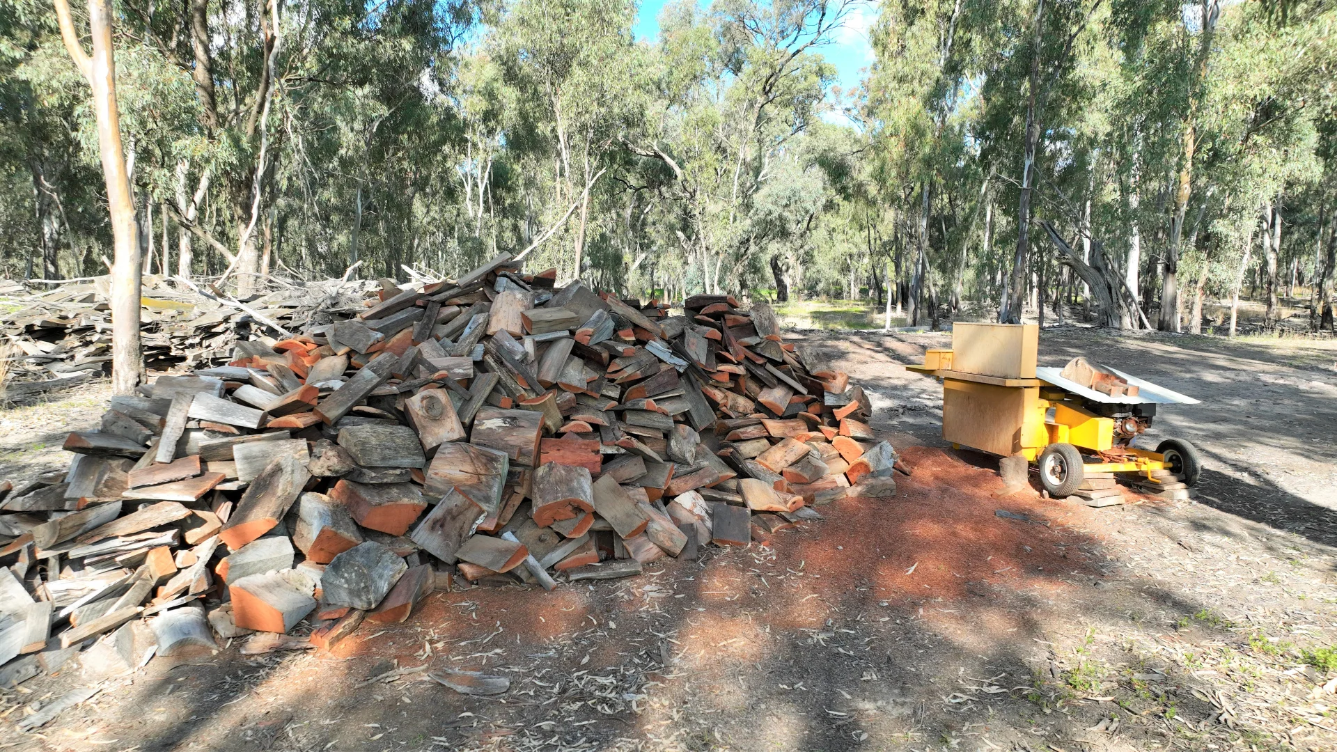 Image 15
