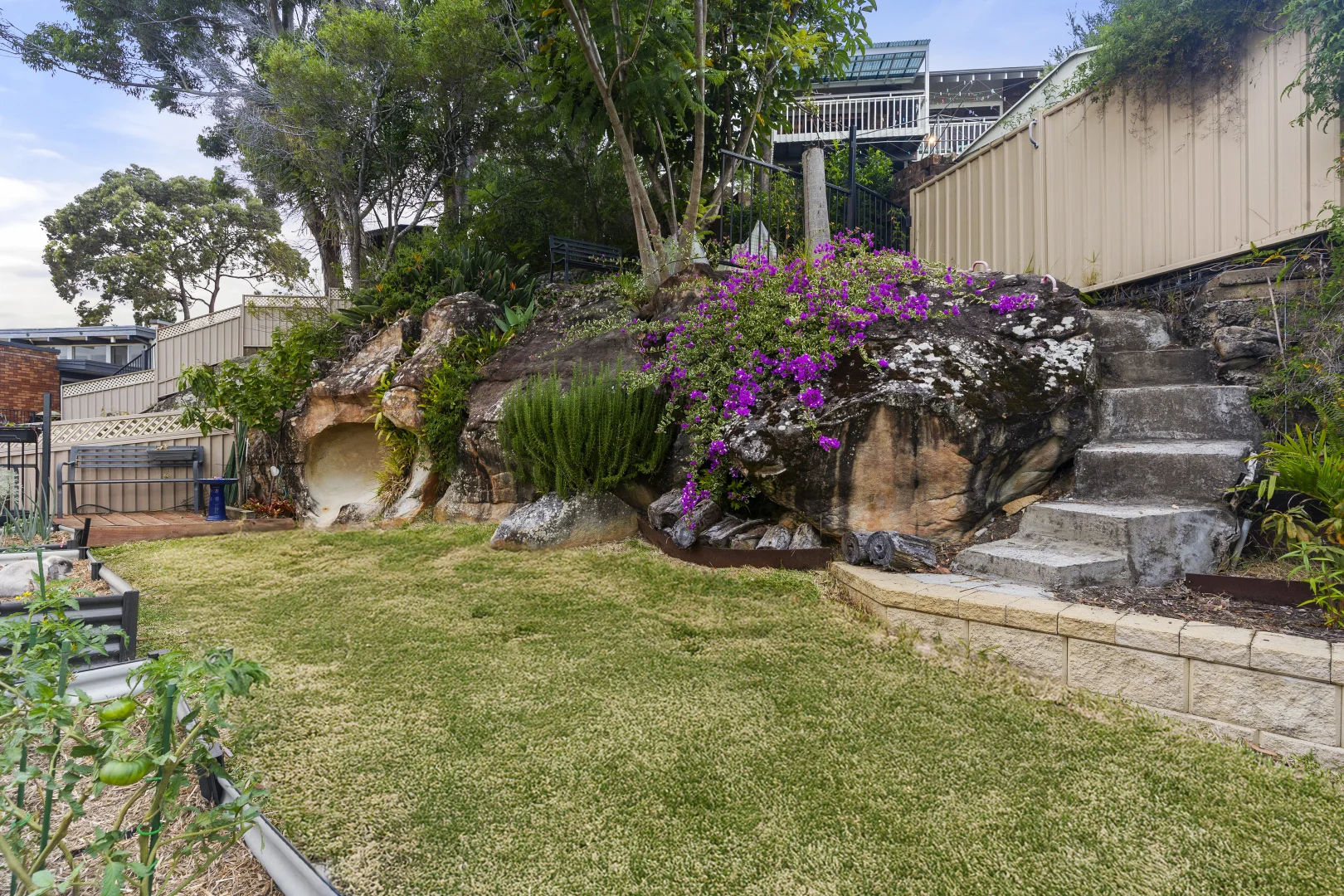 Image 11