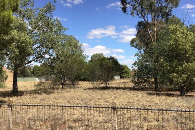 Picture of Lot 4 Lachlan Street, BOREE CREEK NSW 2652
