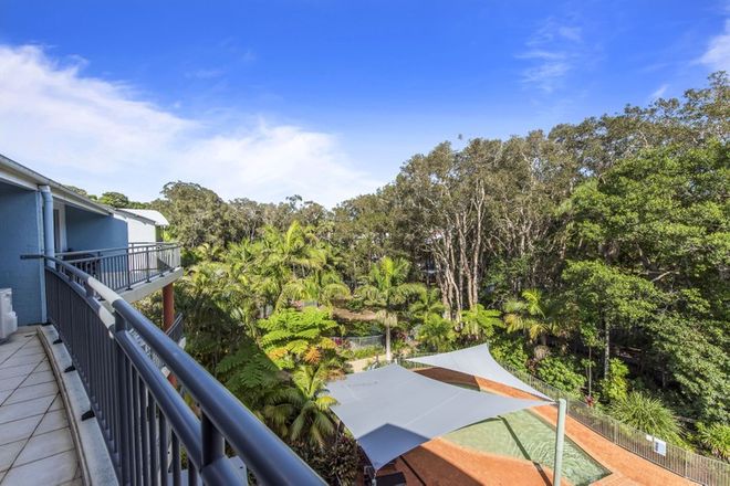 Picture of 217/68 Pacific Drive, PORT MACQUARIE NSW 2444