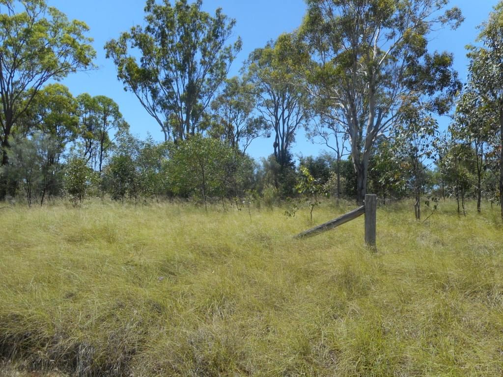 Lot 6 Kingaroy Cooyar Road, Tarong QLD 4615, Image 2