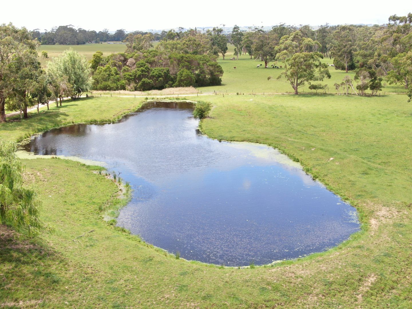 770 Buffalo-Stony Creek Road, Stony Creek VIC 3957, Image 1