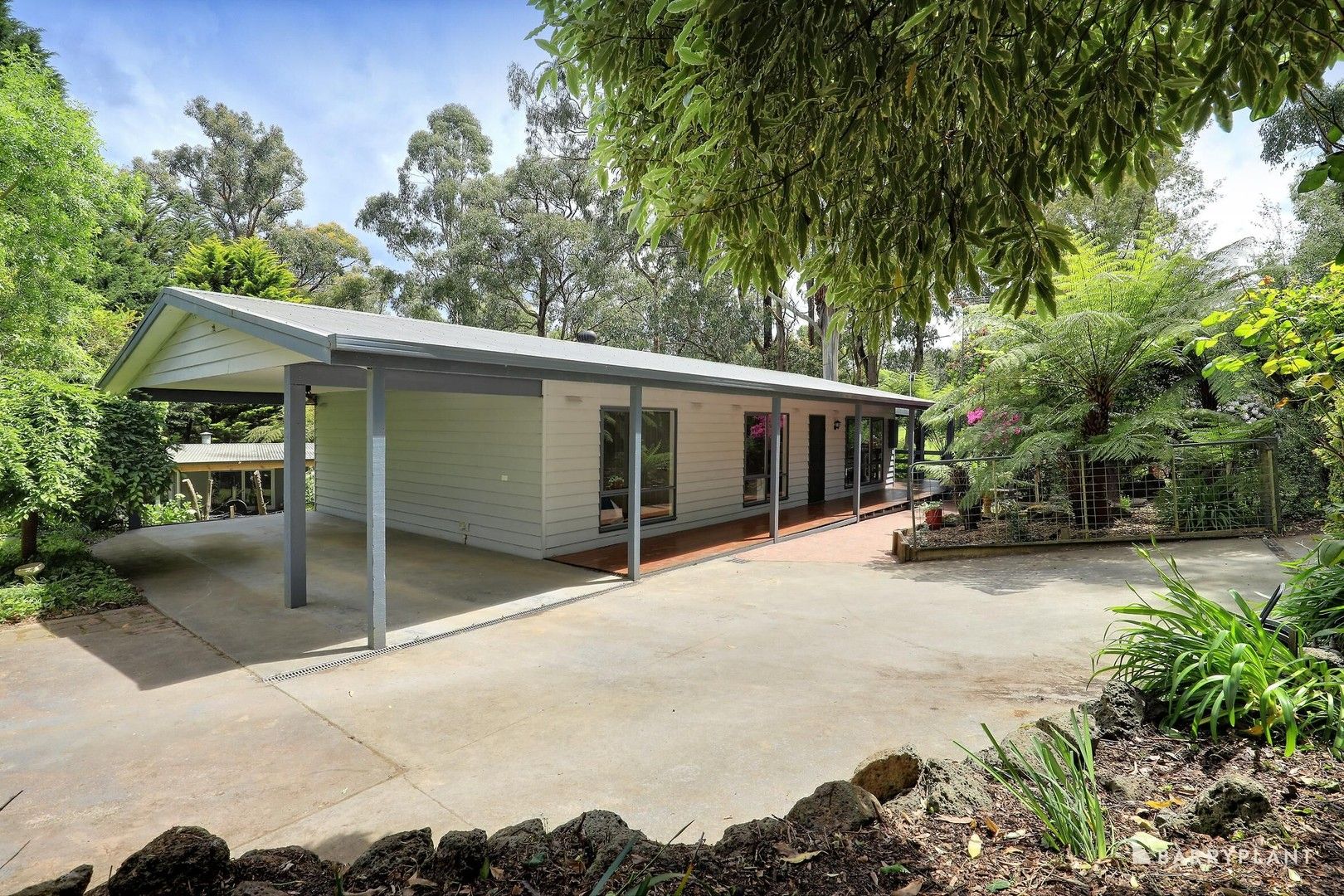 15 Wright Road, Avonsleigh VIC 3782, Image 0