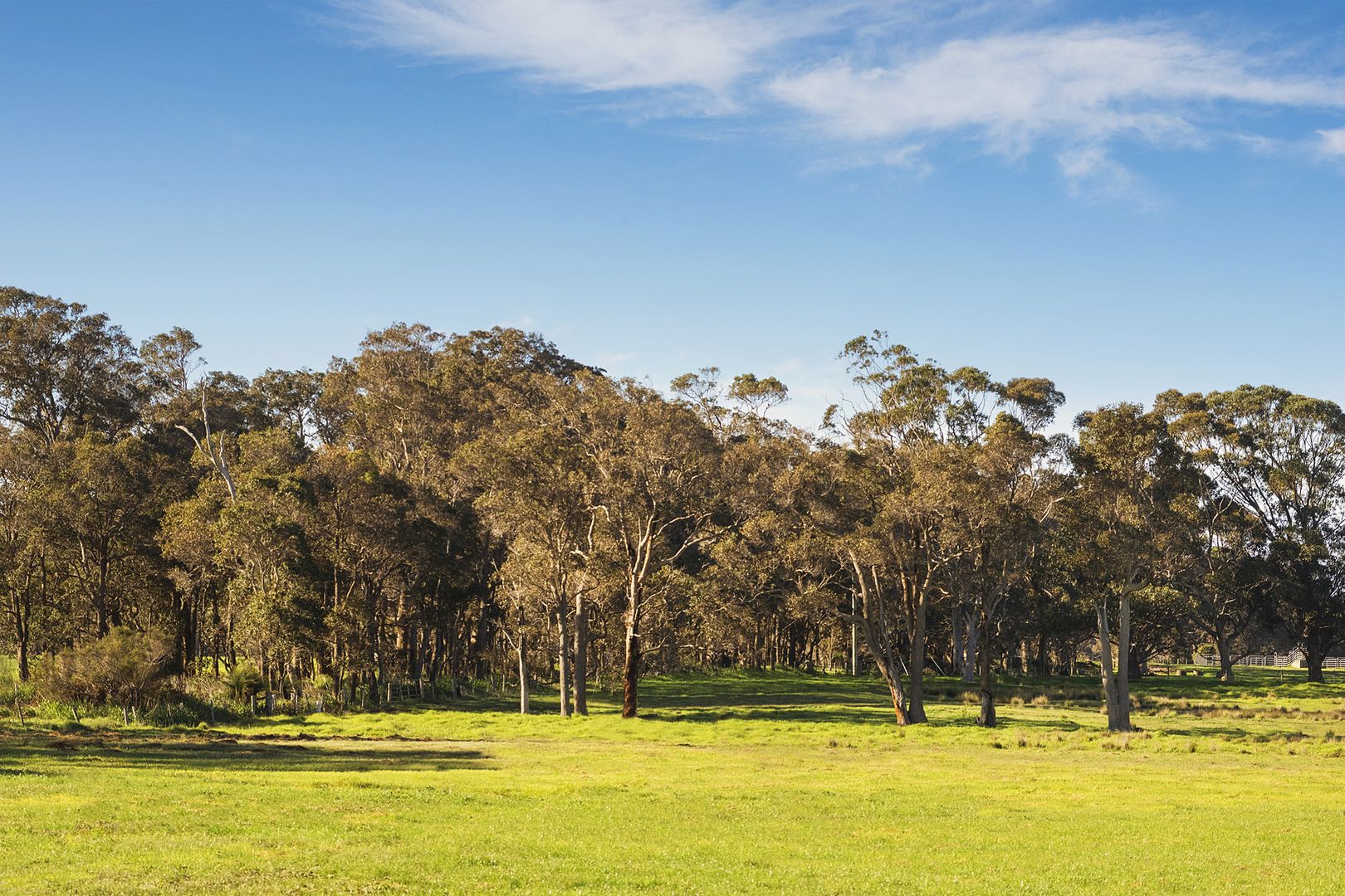 Proposed Lot 70 Concerto Drive, Cowaramup WA 6284, Image 2