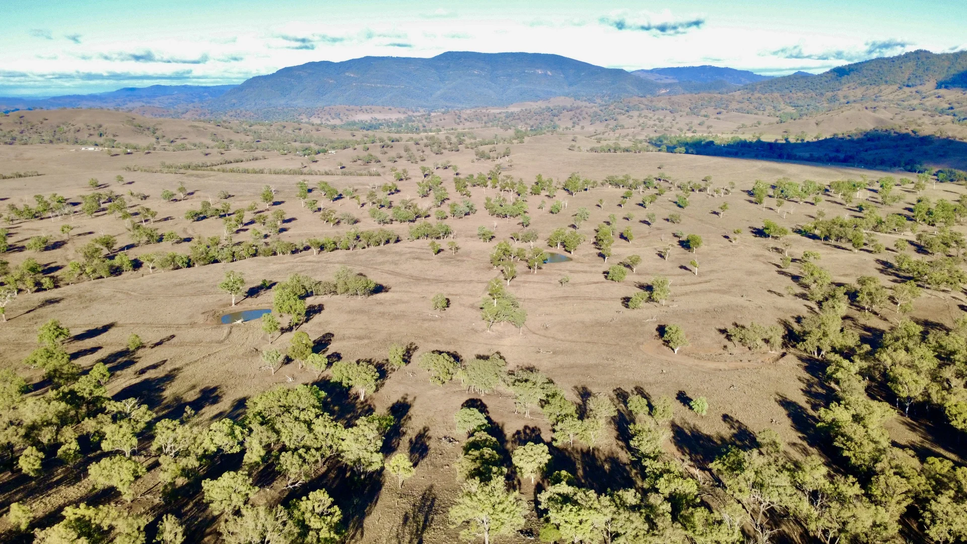 Additional image 13 of "Waverly Paddock" Waverley Road Waverly (Via), Scone NSW 2337