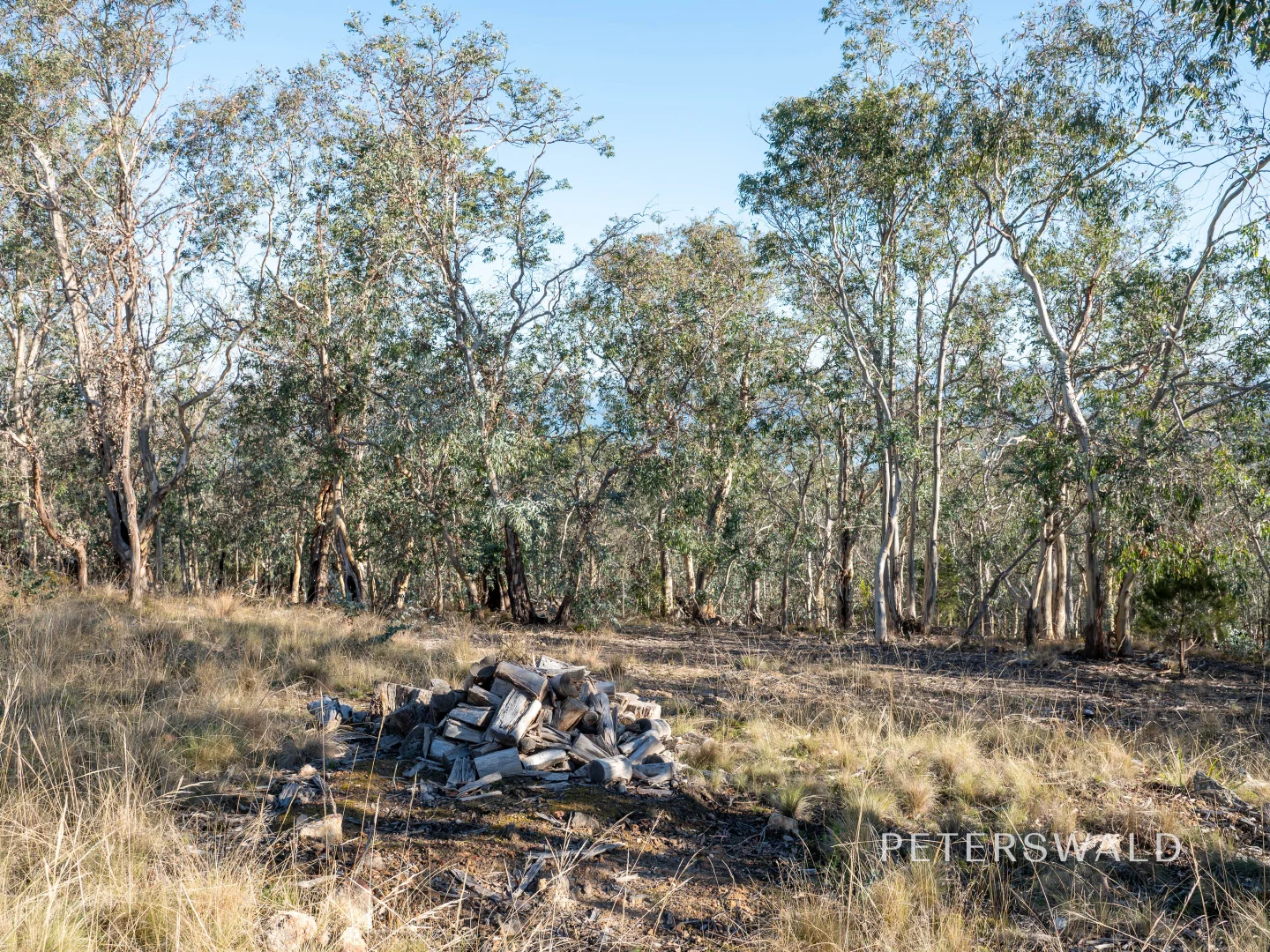 Image 13