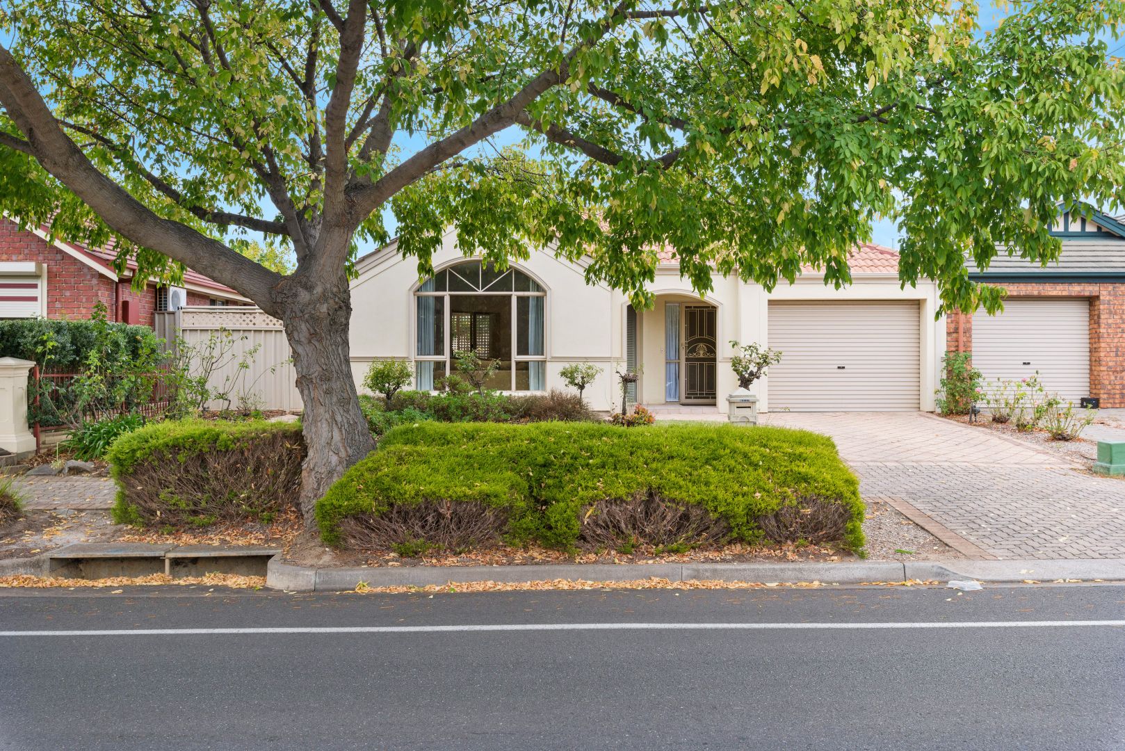 14 Bradley Grove, Mitchell Park SA 5043, Image 1