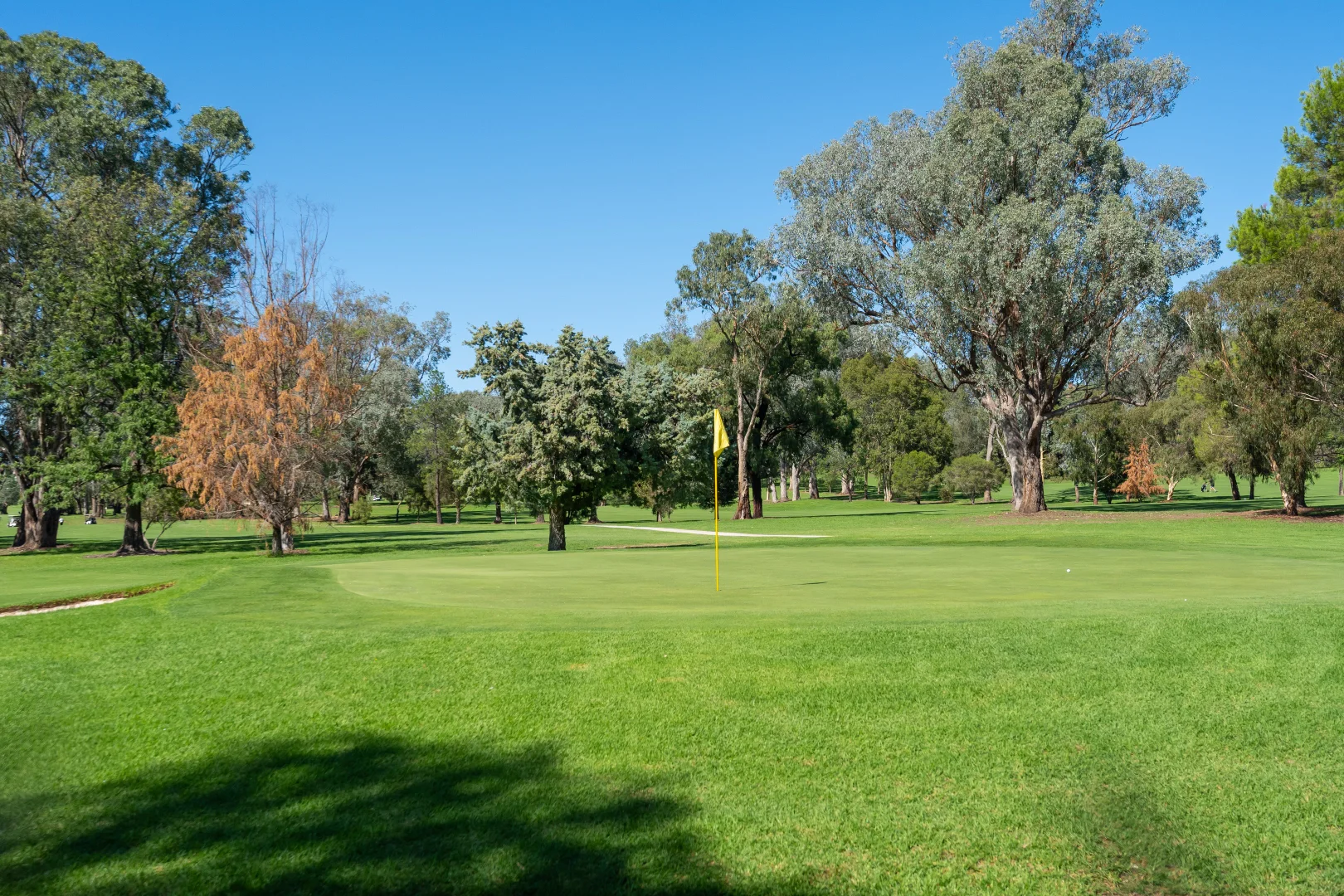 Additional image 17 of 572 Ryan Road, North Albury NSW 2640