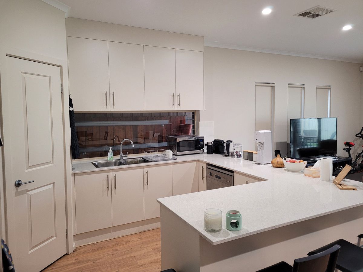 8 Kiltie Avenue, Windsor Gardens SA 5087 House For Rent Domain