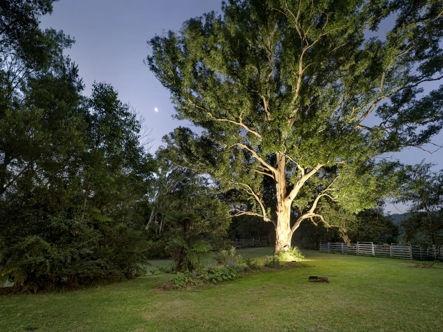 Image 38