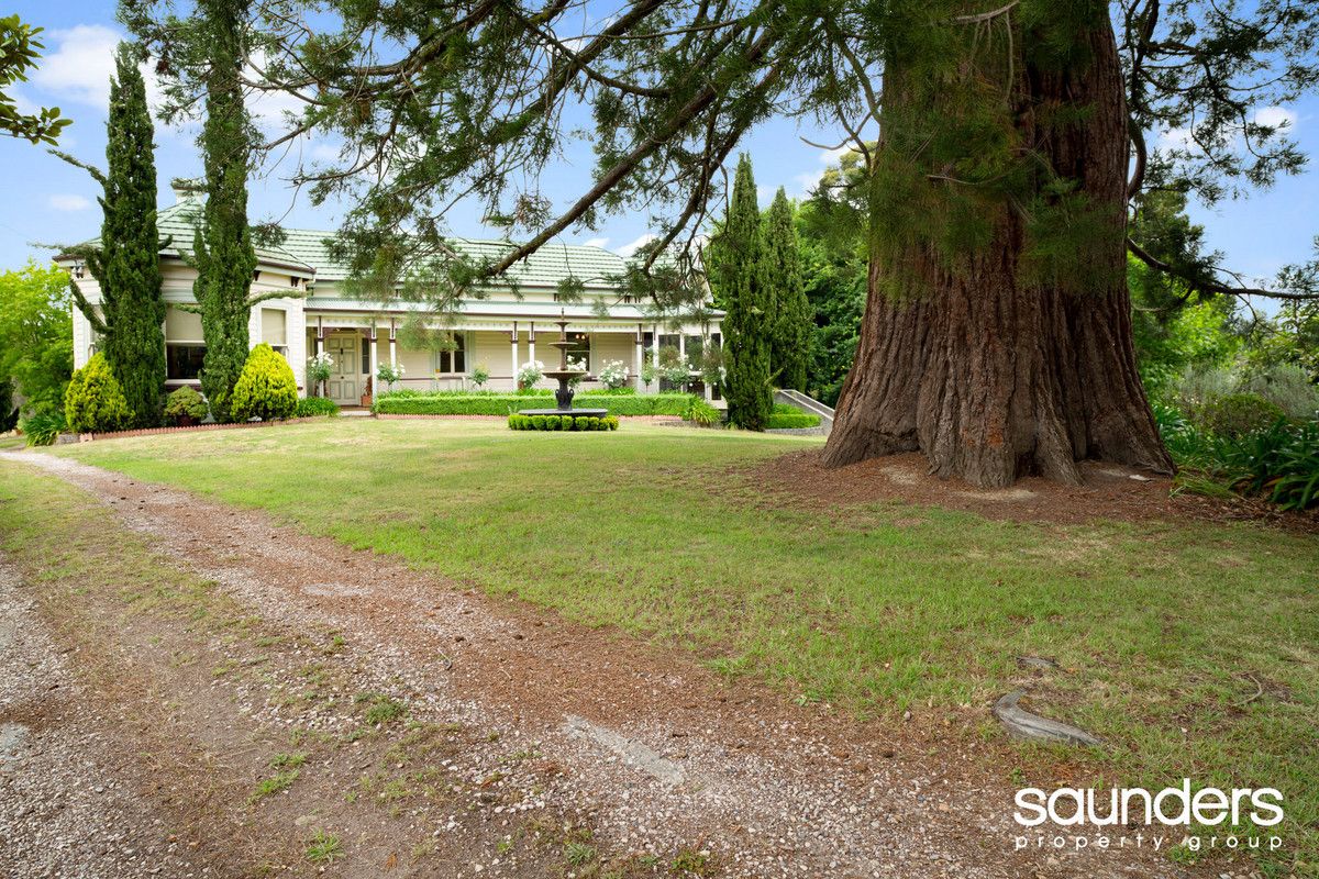 87 Moriarty Road, Latrobe TAS 7307, Image 2