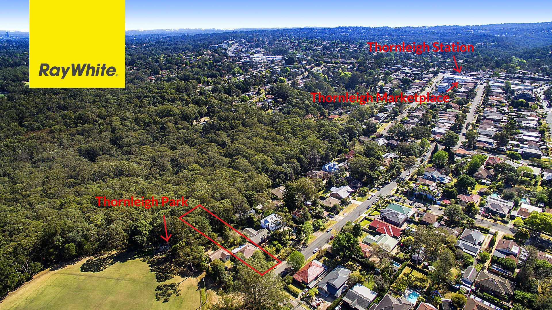 Property Report for 24 Handley Avenue, Thornleigh NSW 2120