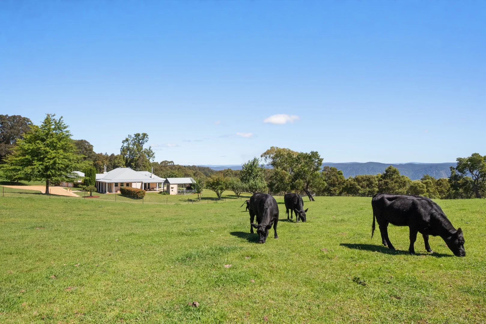 Additional image 15 of 438 Sawyers Ridge Road, Braidwood NSW 2622