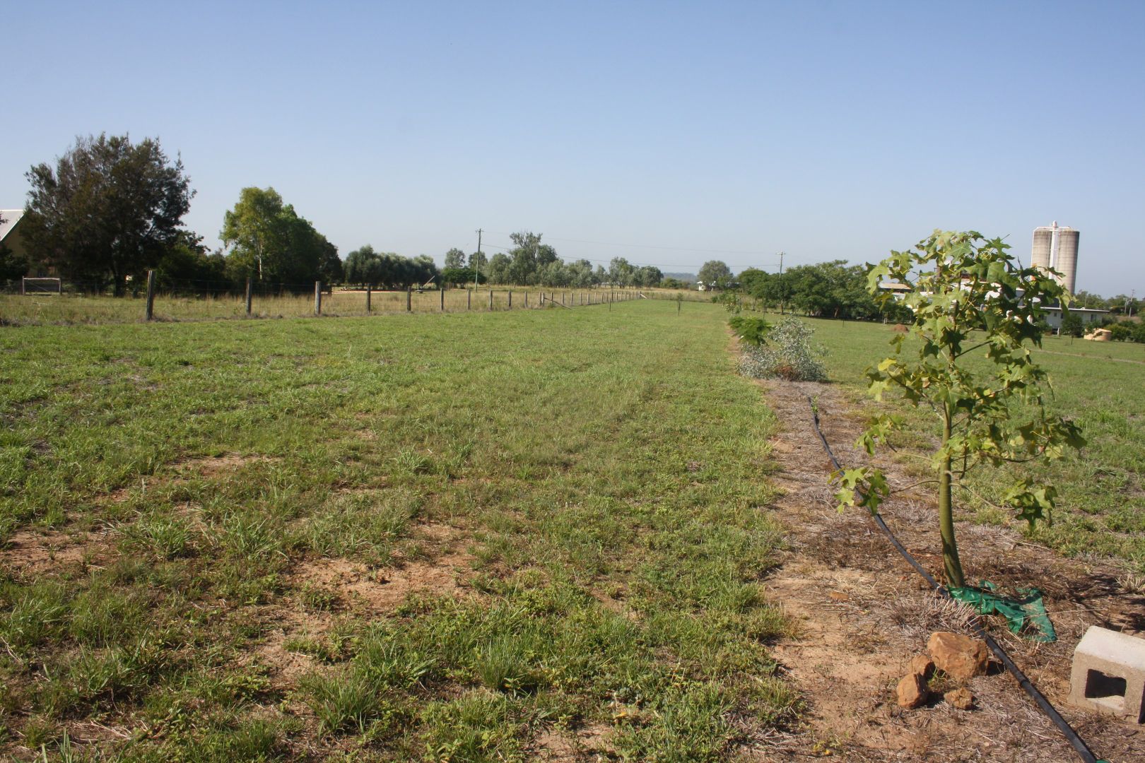 Lot 18 Frank McCauley Street, Mundubbera QLD 4626, Image 2