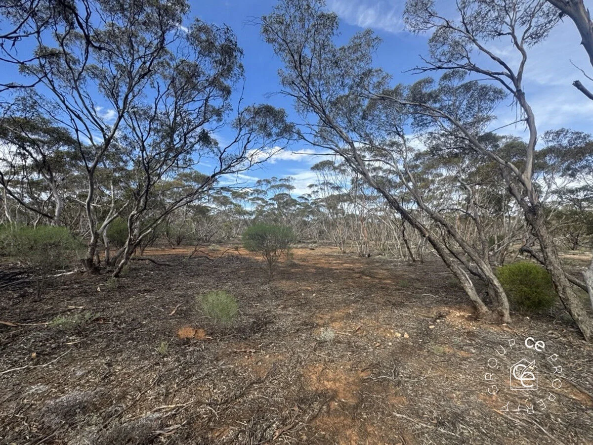 Additional image 4 of Fisher SA 5354