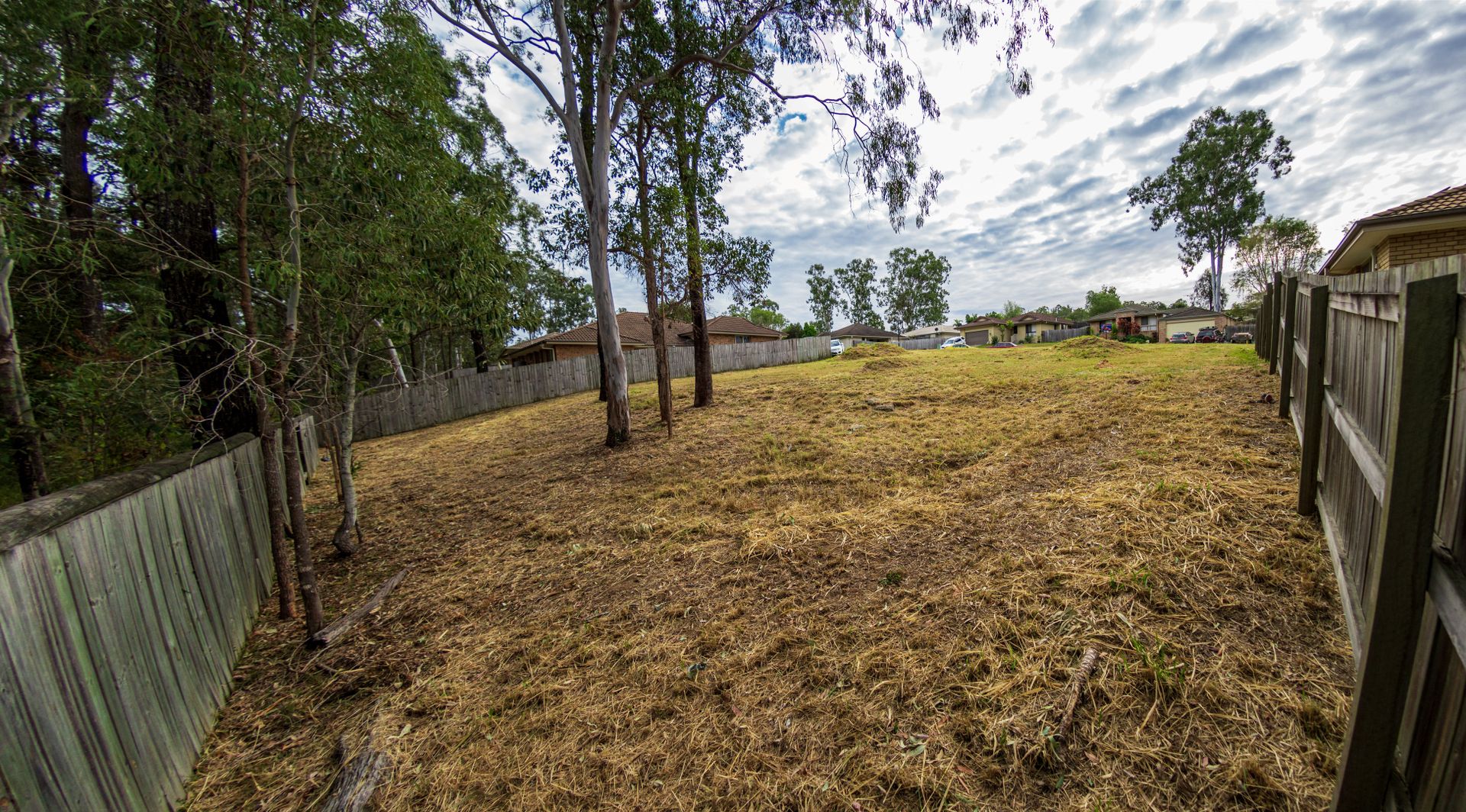 37 Drysdale Place, Brassall QLD 4305, Image 2