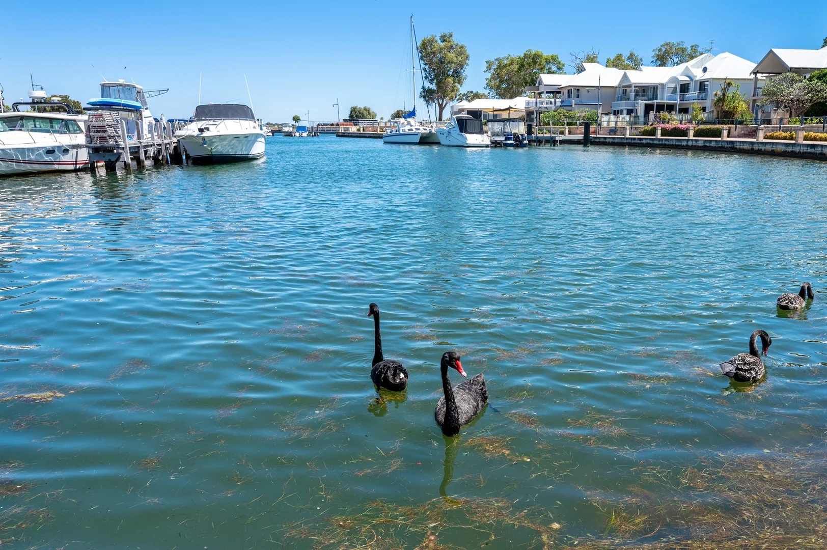 Additional image 32 of 17 Conservation Loop, Erskine WA 6210