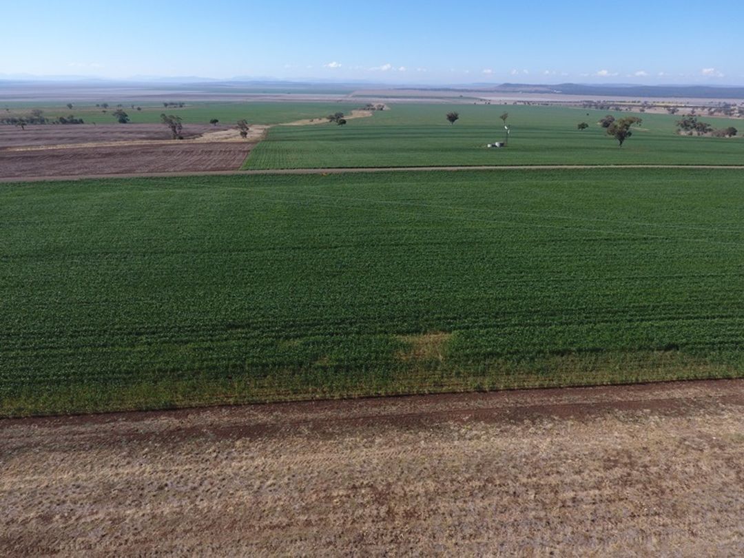 Uplands, Spring Ridge NSW 2343 House for Sale 1,920,000 Domain