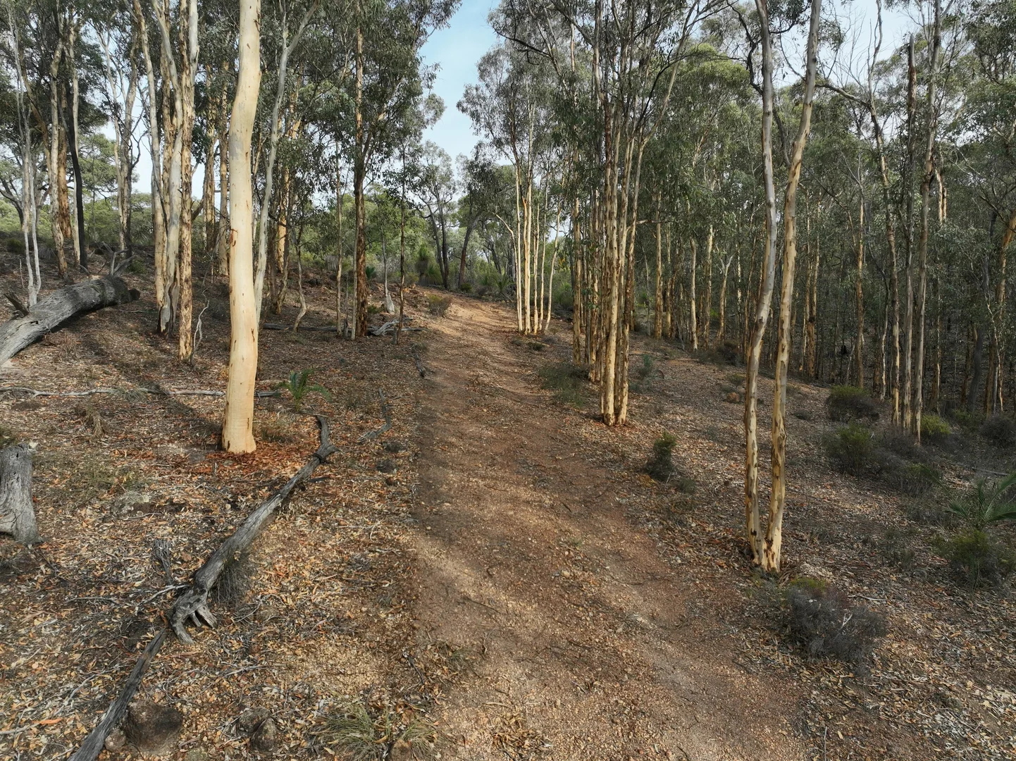 Image 14