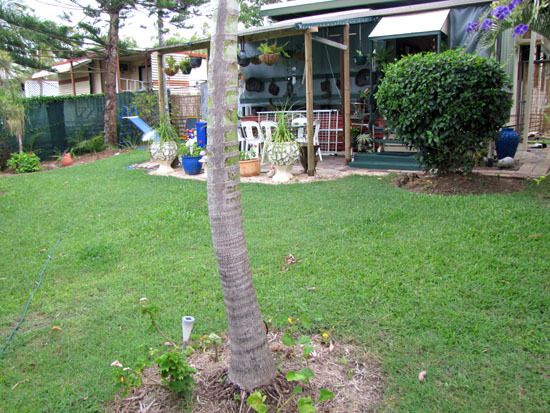 Site Calliope Caravan Park Stowe Rd, Calliope QLD 4680, Image 2