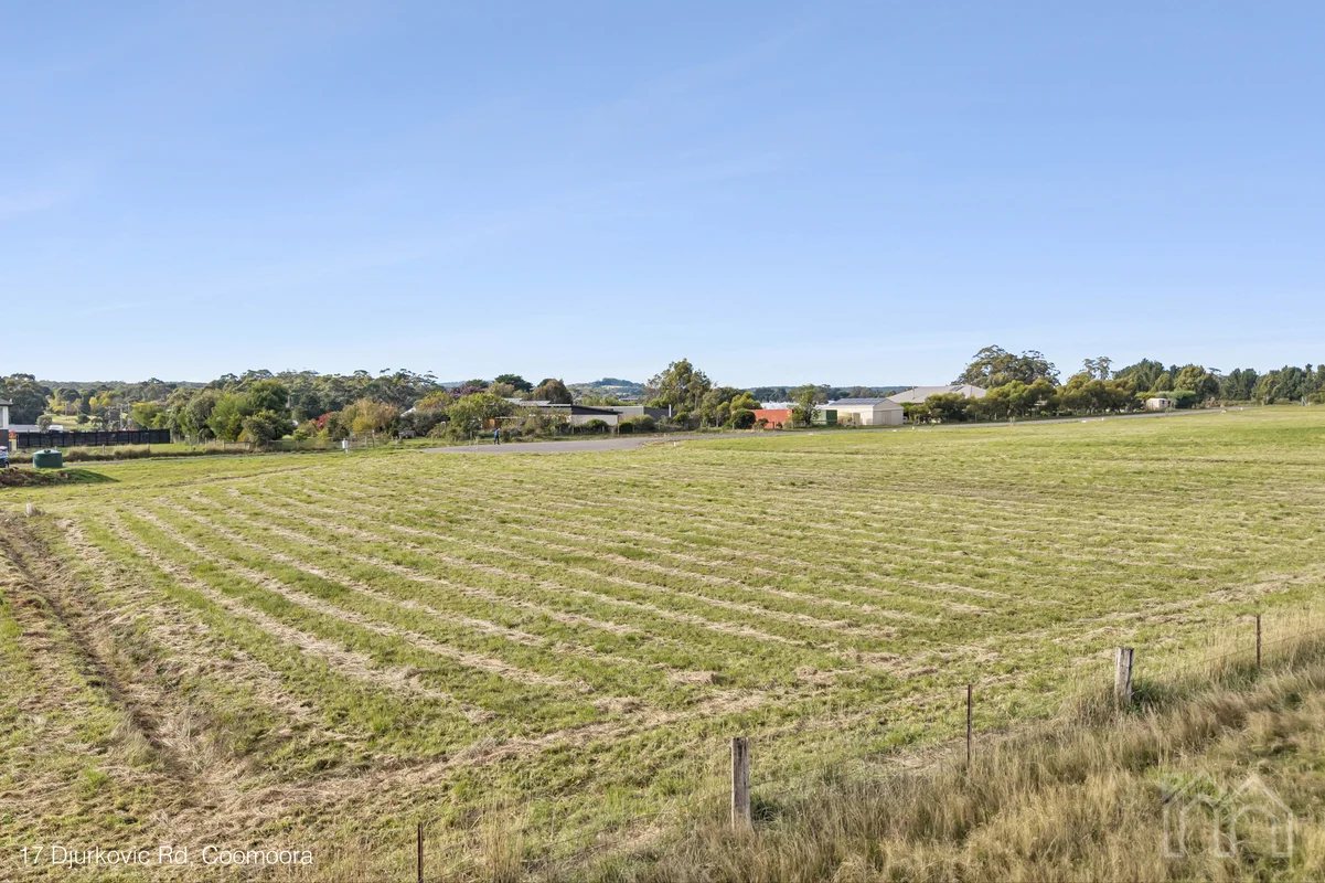 Image 15