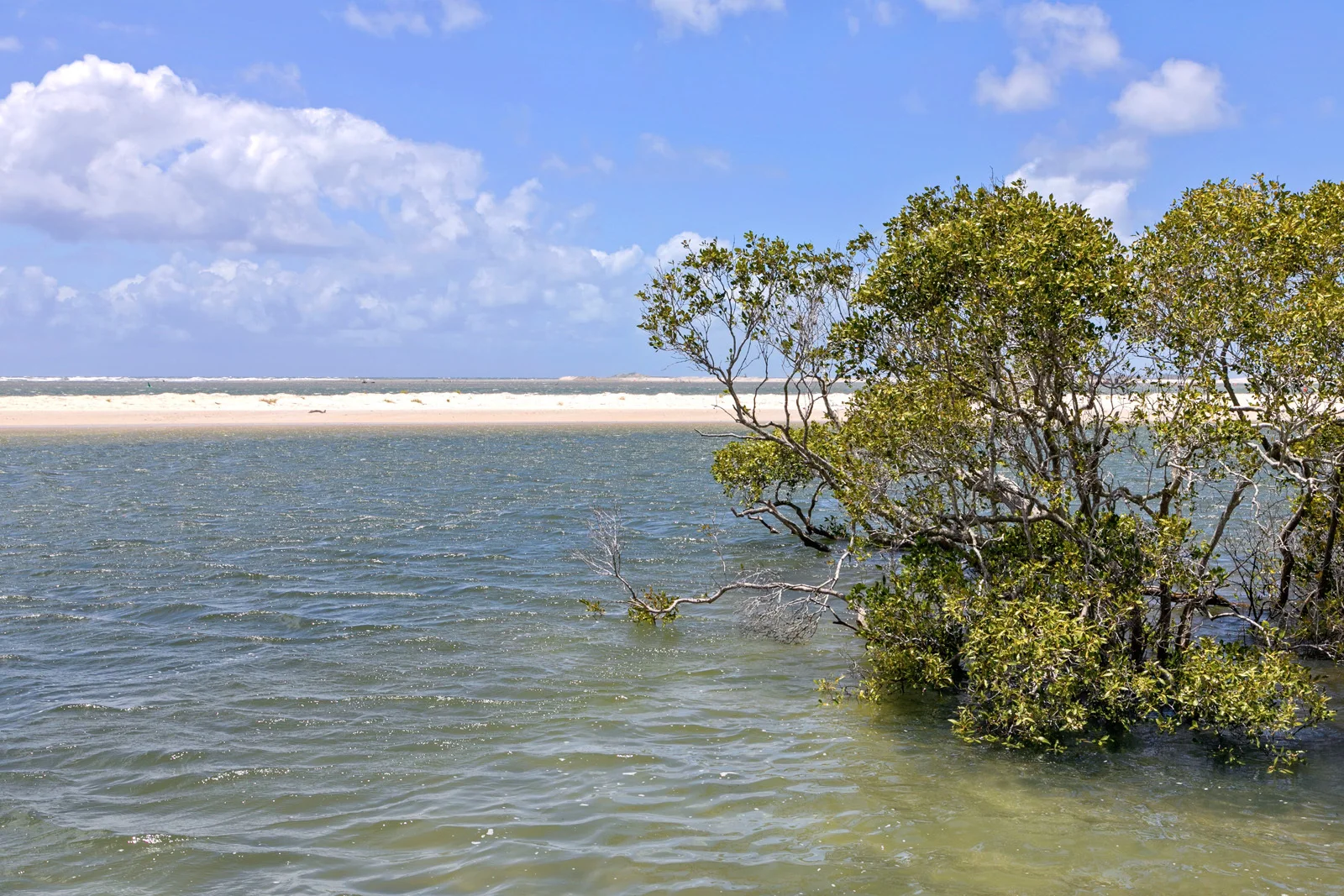 Additional image 22 of 25 Onslow St, Golden Beach QLD 4551