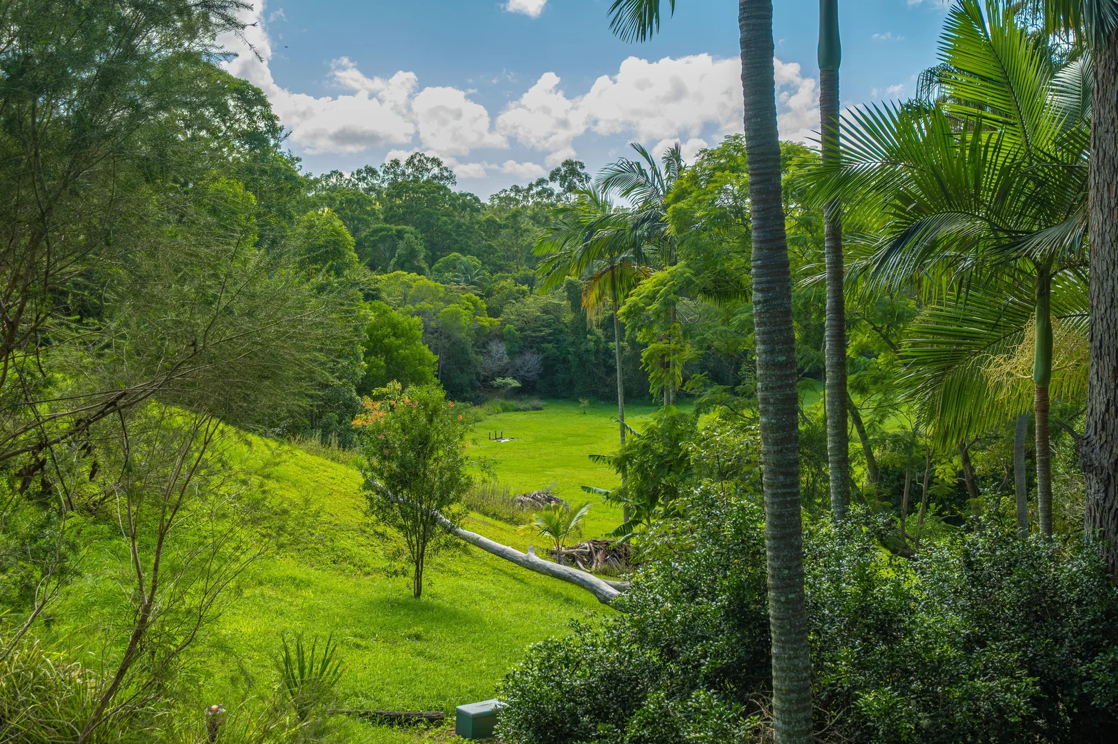 Additional image 17 of 117 Neusavale Road, Wolvi QLD 4570